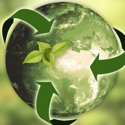 Timeline: Desarrollo Histórico De La Sustentabilidad