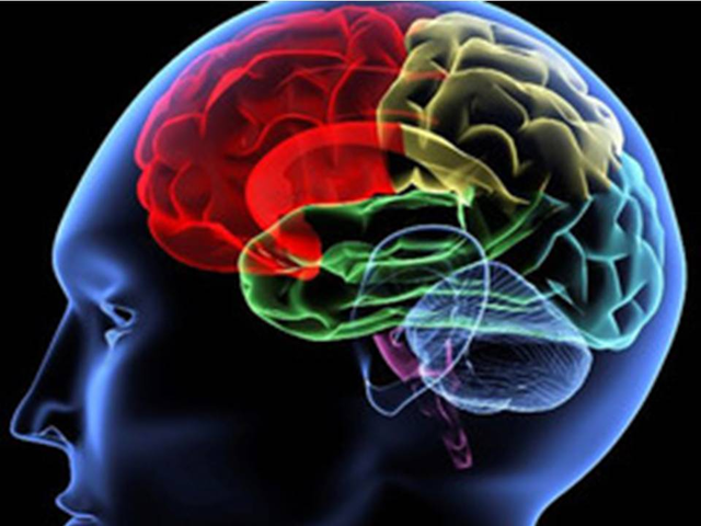 Neuropsicología Cognitiva.