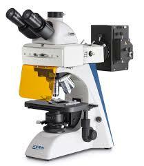primer microscopio de luz