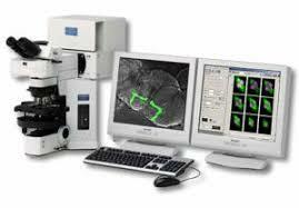 microscopio confocal