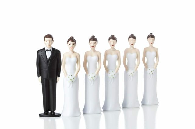 FAMILIA SINDIÁSMICA