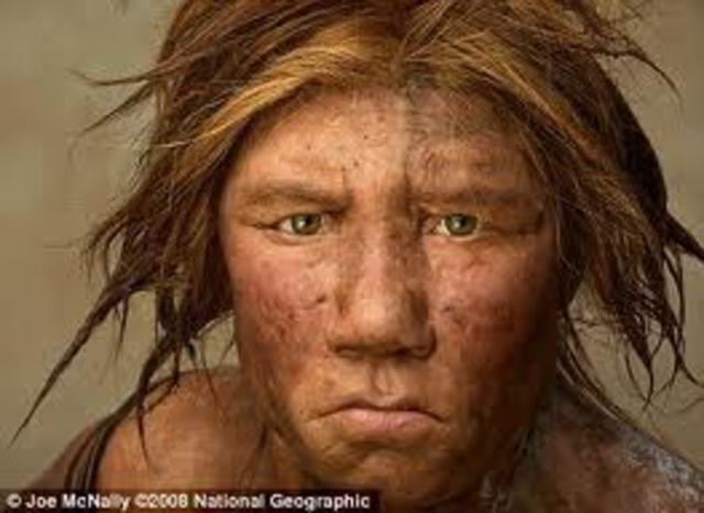 Homo Sapiens Neanderthalensis