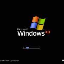 windows XP