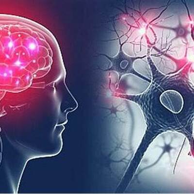 Timeline: AVANCES DE LA NEUROCIENCIA DE LA CONDUCTA