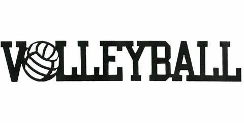 Unificación de palabras para denominarlo "volleyball"