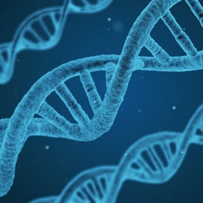 Timeline: The History of Tuberous Sclerosis Complex: A Rare Disease Moving Toward a Cure