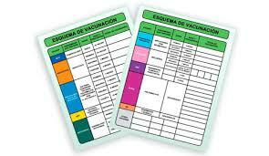 Esquema de  vacunación