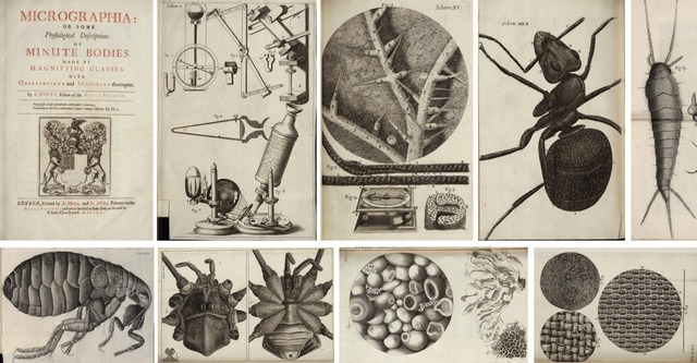Robert Hooke