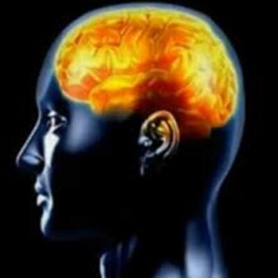 Timeline: Neurociencia de la conducta