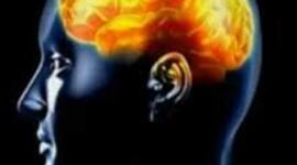 Timeline: Neurociencia de la conducta