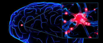 Un avance a la Epilepsia