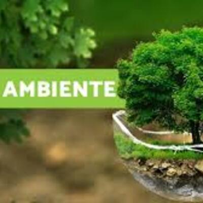 Timeline: Educación Ambiental