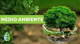 Timeline: Educación Ambiental