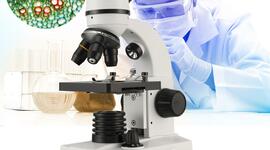 Timeline: El Microscopio: Evolución durante el tiempo