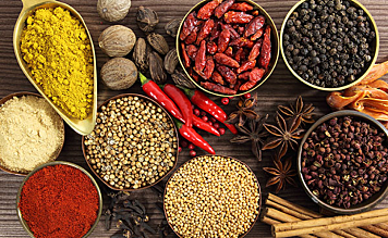 Fenicios y cartaginesa