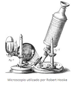 Primer uso de microscopios con fines científicos