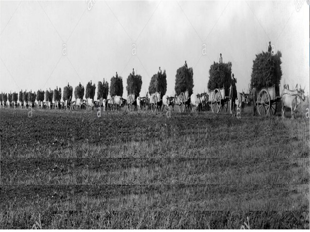Agricultura, logran buenos años;