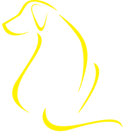 Yellow Dog