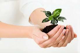 se gesta la sensibilidad social frente a los temas éticos