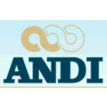 La ANDI elaboro el primer modelo de balance social