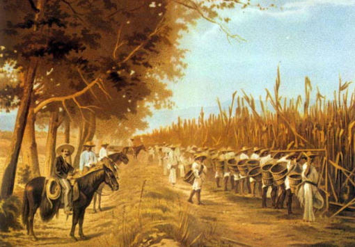 promulgación de la ley de baldíos