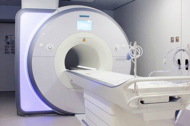 Imagen para observar Neuronas.