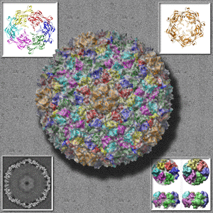 Aplicaciones del Microscopio de rayos x