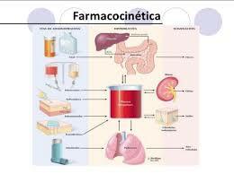 Farmacocinética