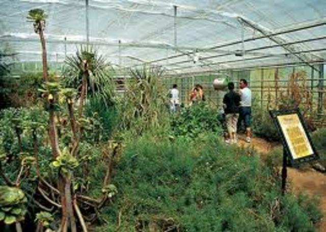 la ecología botánica