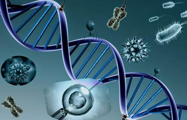 Bioquímica, microbiología y biología molecular