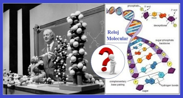 Sistemática y genética molecular