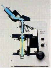 Microscopio de campo oscuro