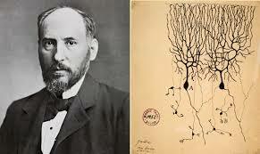 Cajal