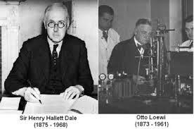 Henrry Dale Y otto Loewi