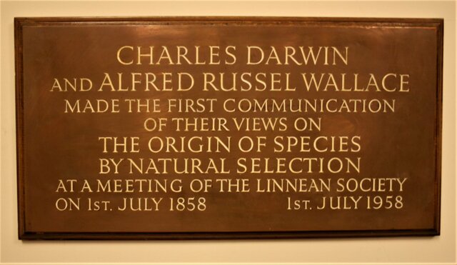 Presentación de la teoría