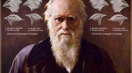 Timeline: Vida y carrera científica de Charles Darwin