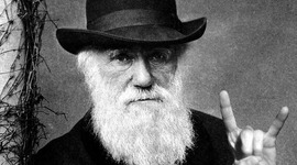 Timeline: Timeline de Darwin