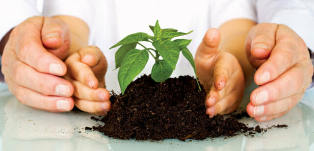 8° Hito de la Educación Ambiental