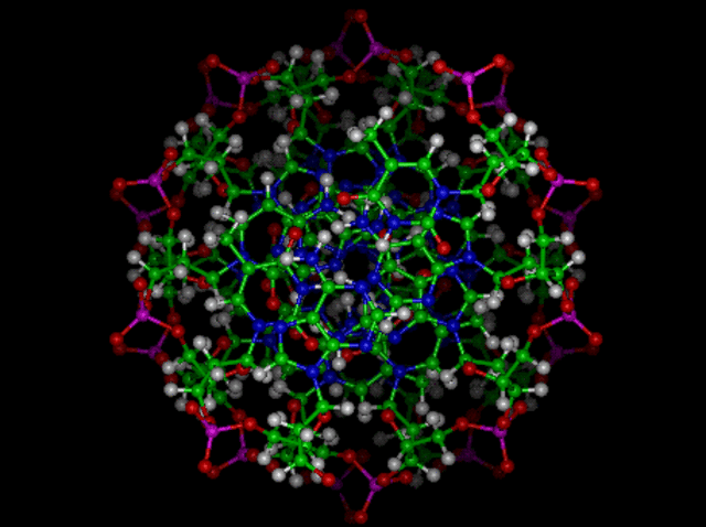 Numbers of Units in DNA and Cytosine Equaled