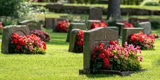 Mort de la meva besàvia