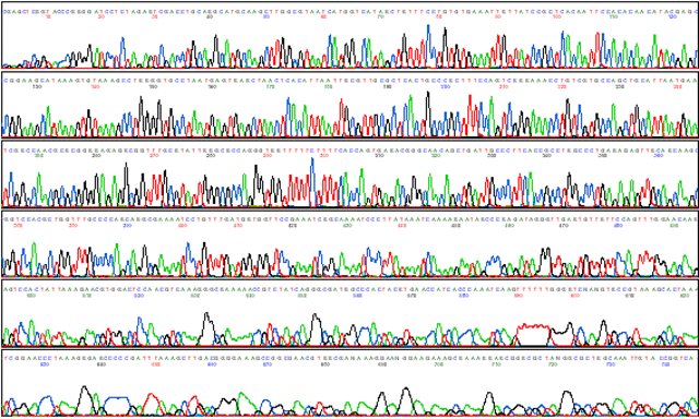 automated fluorescence sequencer