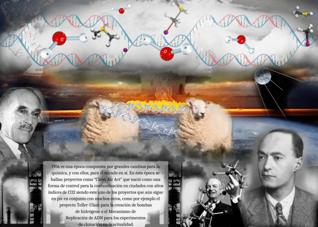 1954-2004 en adelante (Edad cont)