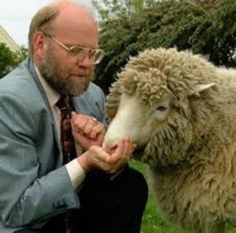 Dolly the sheep is cloned from an adult cell of a ewe