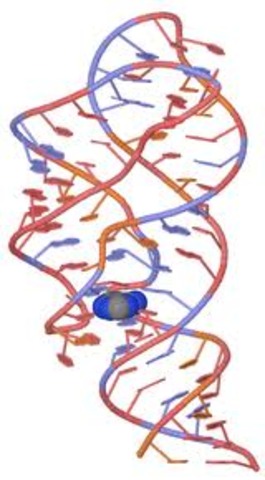 the term rivoswitch is coined for part of an mRNA molecoule that can regulate its own activity and therefore gene expression