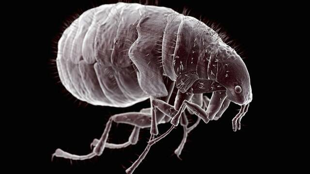 Descubrimiento del origen