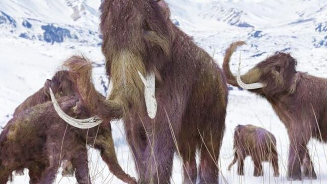 primera edad de hielo.