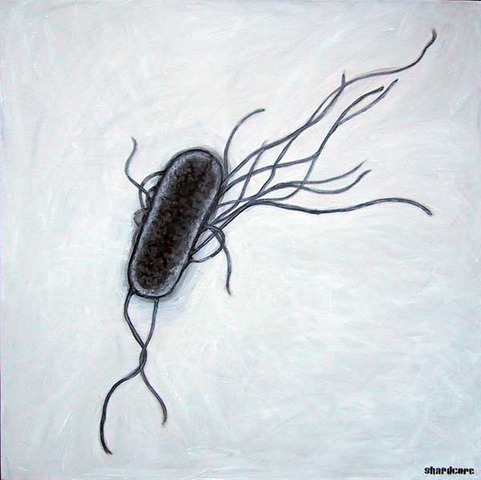 E. coli