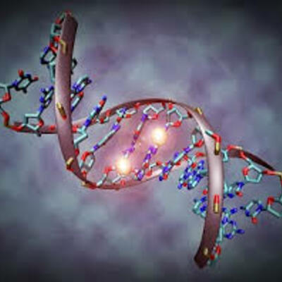 Timeline: Biologia Molecular