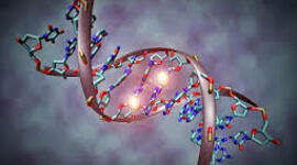 Timeline: Biologia Molecular