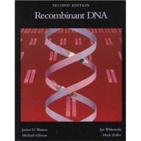 Recumbent DNA